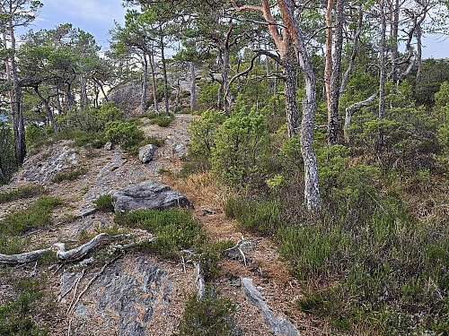 videre oppover ryggen mot toppen