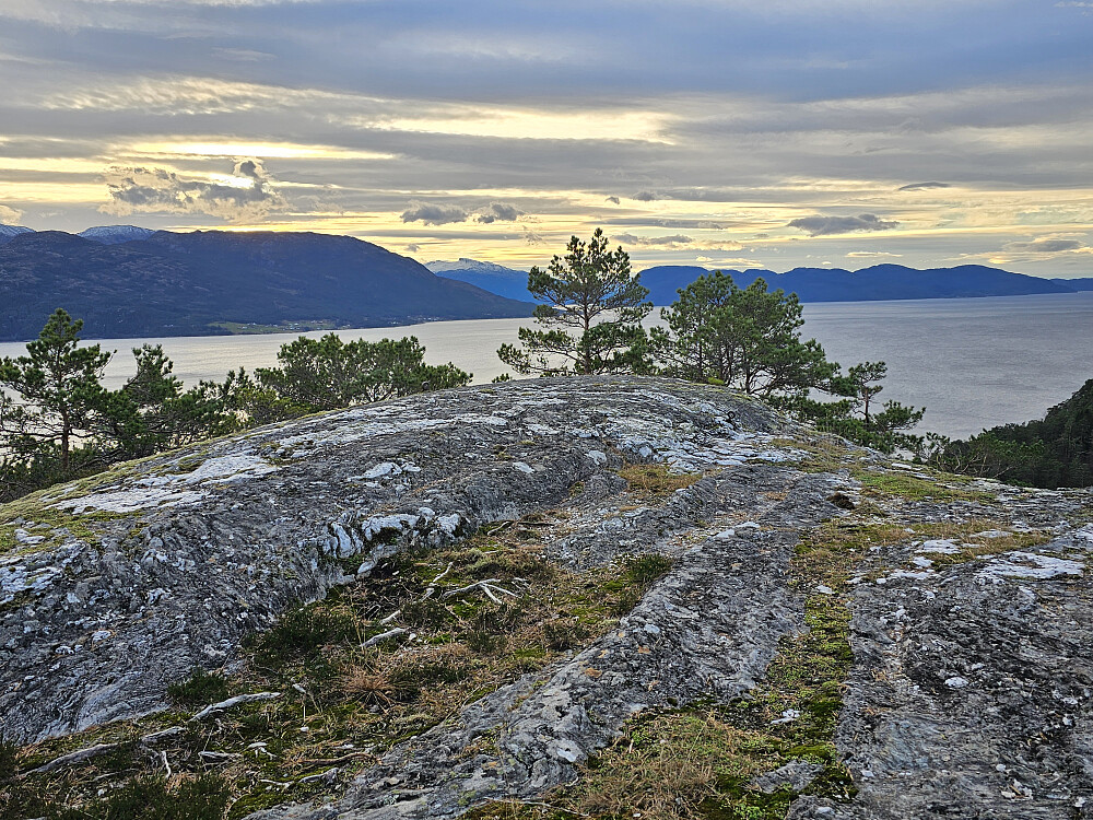 toppen på Øykhageskolten 135