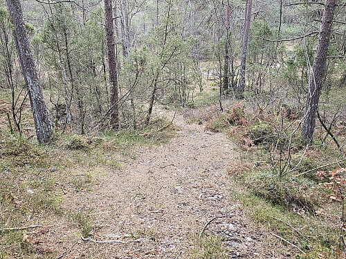 øvre del av stien ned mot Røyrvik