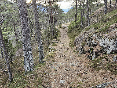 stien ble mer en gammel vei