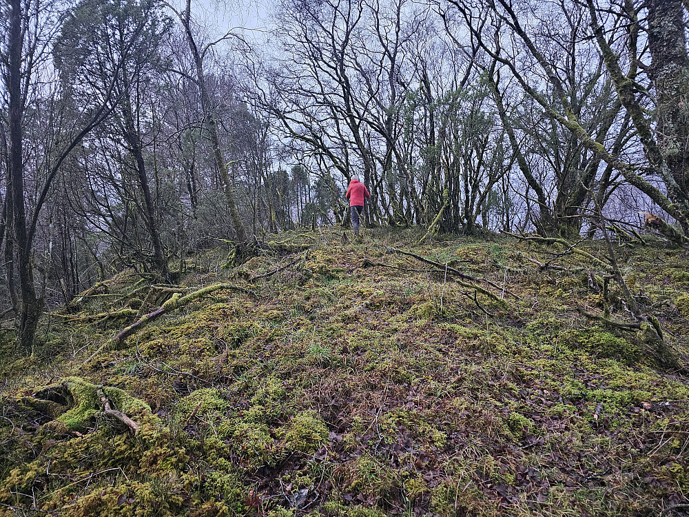 Petter på Maltskårhaugane