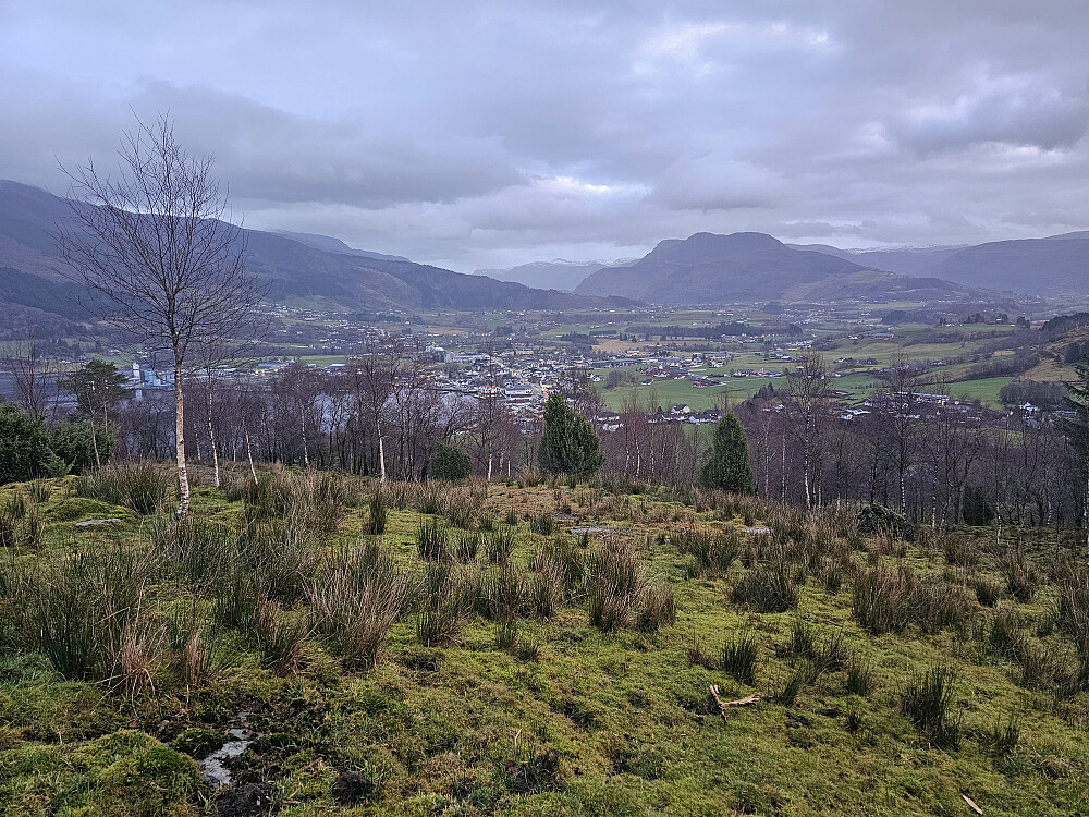 Etne fra beiteland under toppen
