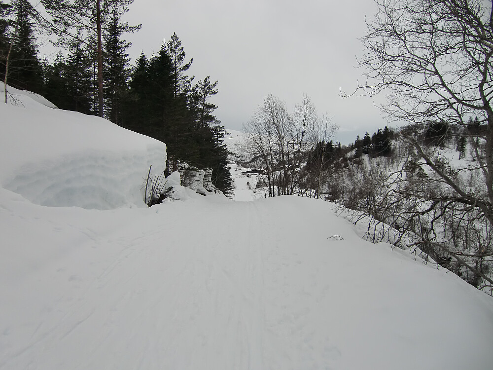 på stølsveien her rett før stølen