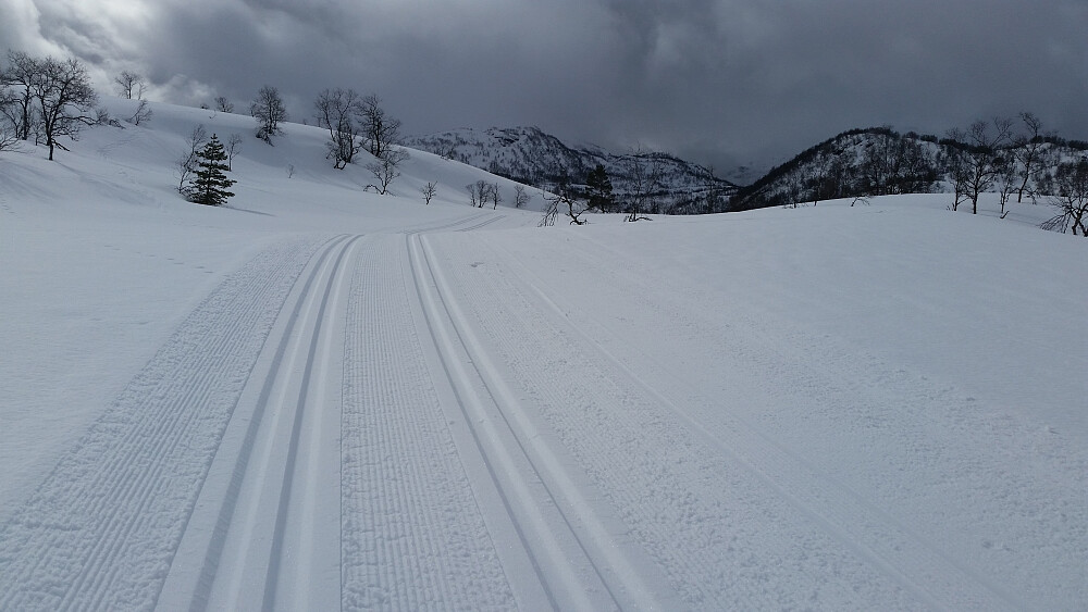 Her fra området ved Tjørndalshovden