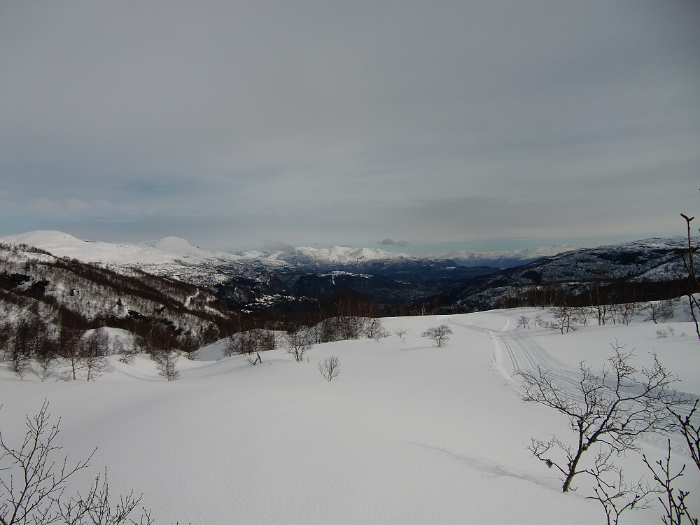 her ovenfor Pungalia