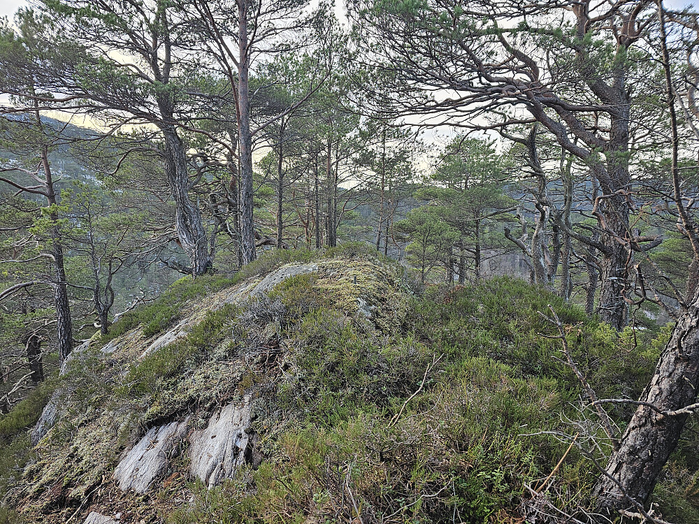 Hovåsen sør 202