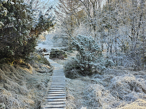 rett nord for Telavåg