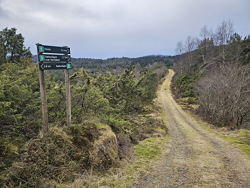traktorveien som går til Ølvatnet. Eller er dette en gammel ferdselsvei? 