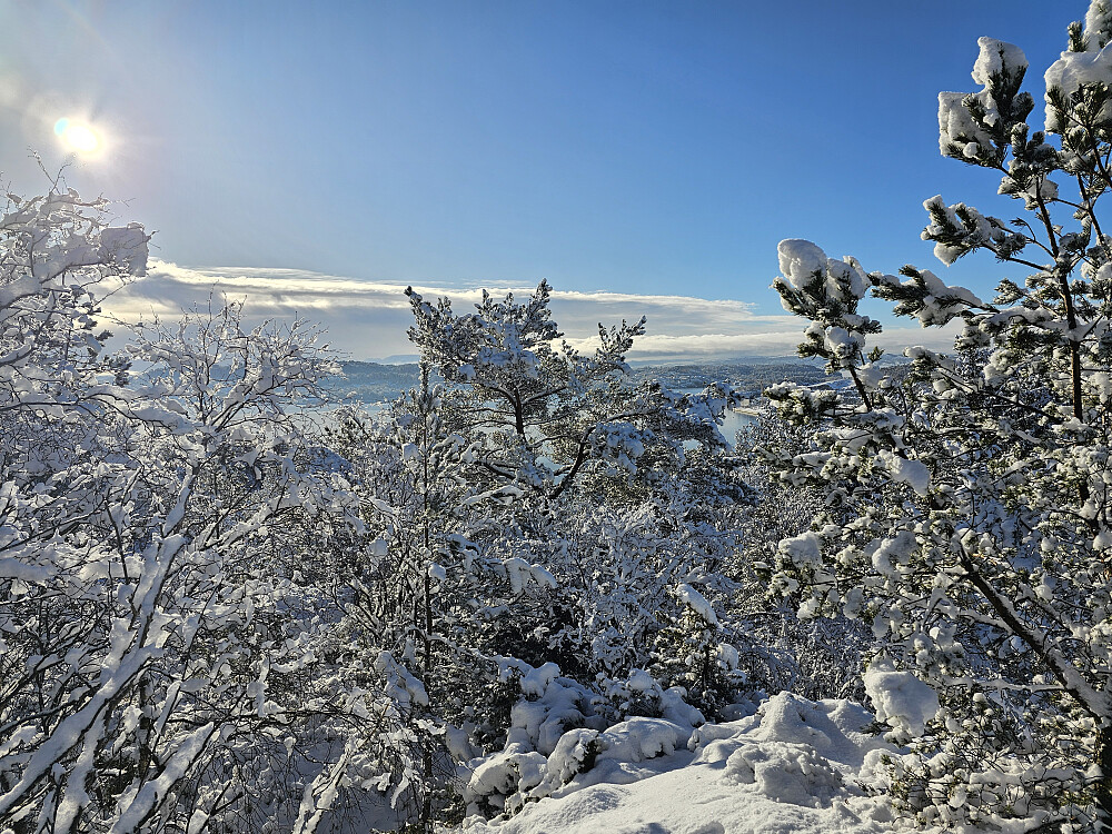 på toppen av Ørnahaugen