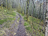 turstart nord for snuplassen 