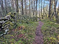 steingard helt nord på minn tur