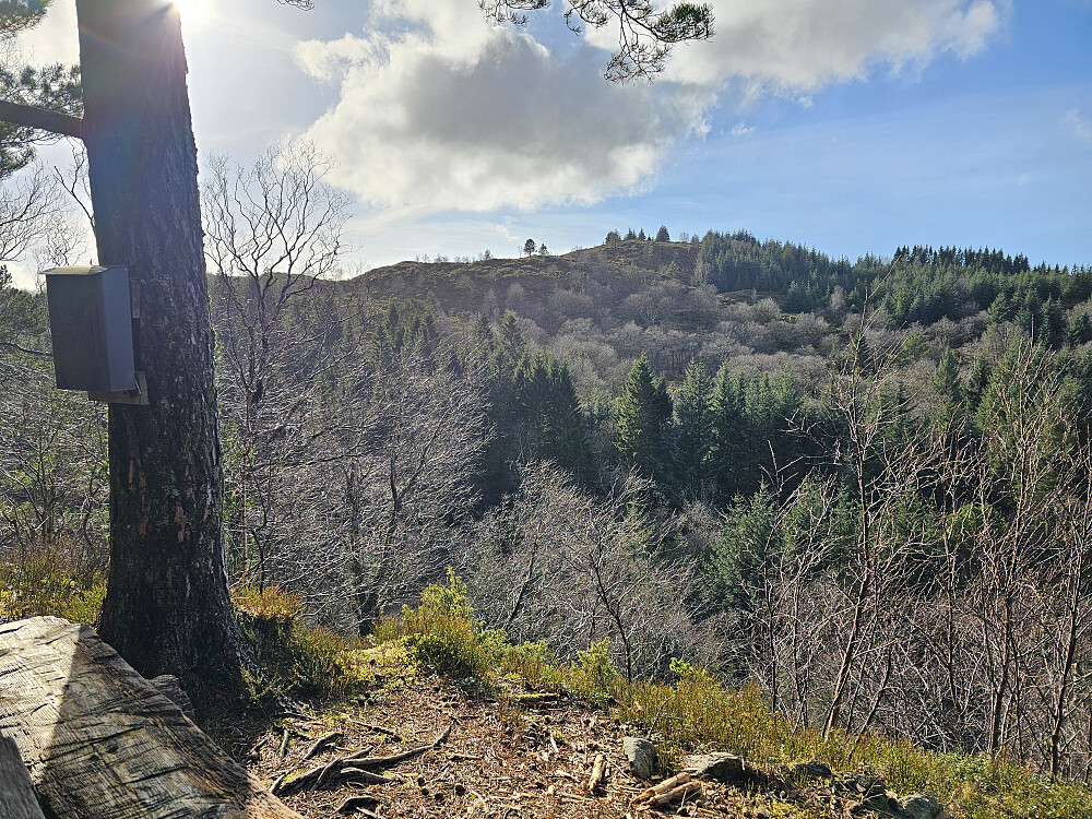 Birkelandsnipa fra Bella's plass