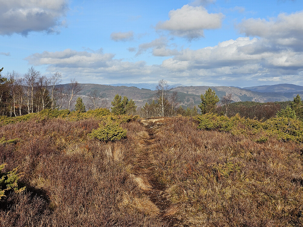 Birkelandsnipa SØ 265