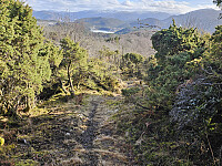 god sti sydover ryggen fra Brikelandsnipa SØ