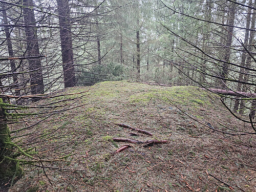 oppe på Revasteinen 261