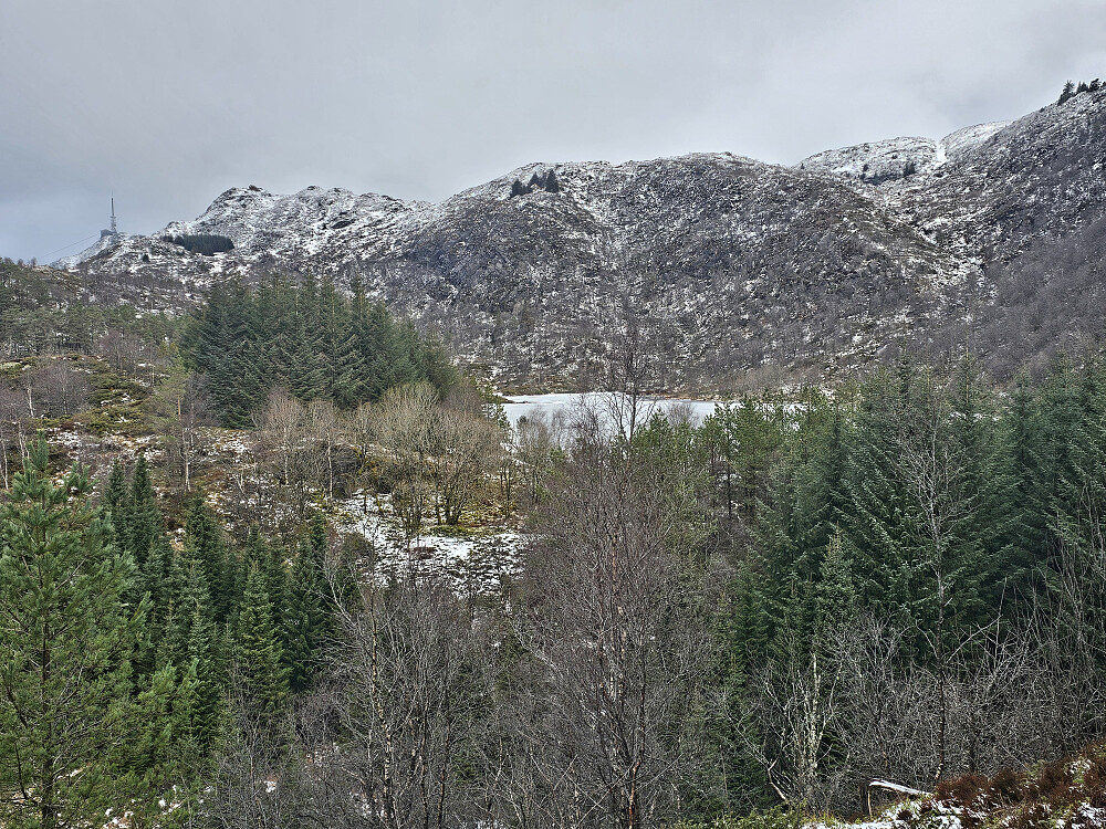 Stemmevatnet og Ulriken fra Krossen