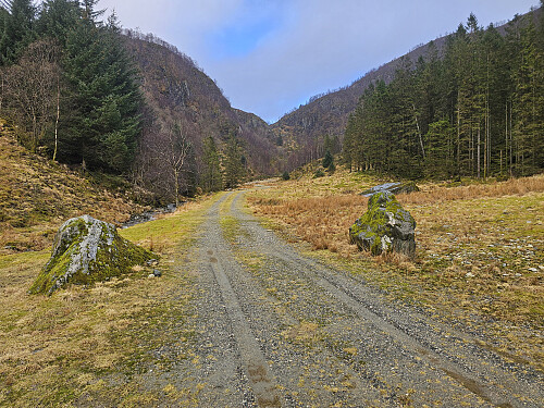 fra utefjøset mot Skarabrekka