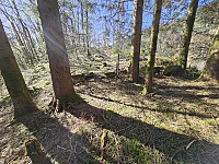 grense og port syd for Opsåsen