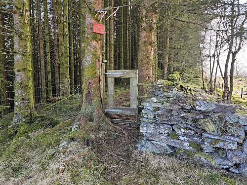 på vei sydover ryggen fra Grytebakkbrua