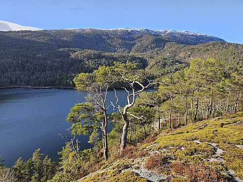 Storavatnet sett fra Øykhagen