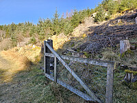 første grinden til Stallane. Sti begynner bak i dag åpne grinden og på skrå inn i gran feltet midt på bildet