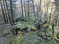 gammel uteløe? oppe i lien 260 moh. med postkasse og bok