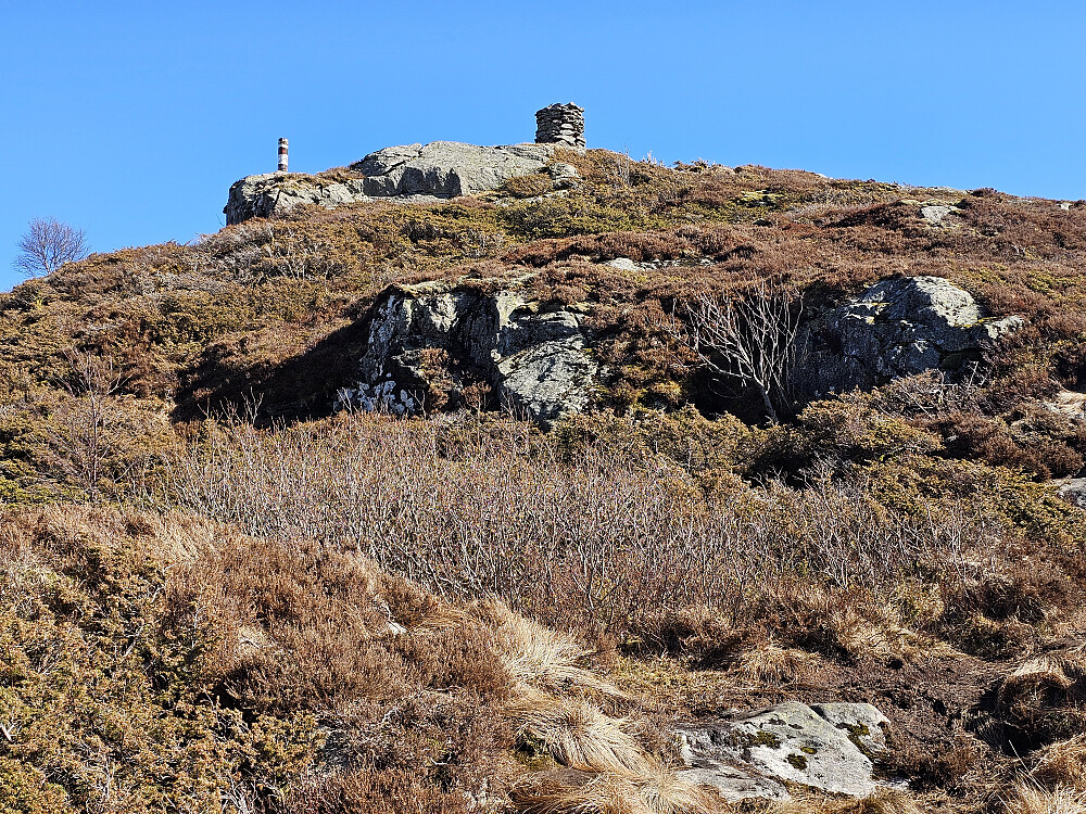 Ulkebjørnen dukker opp