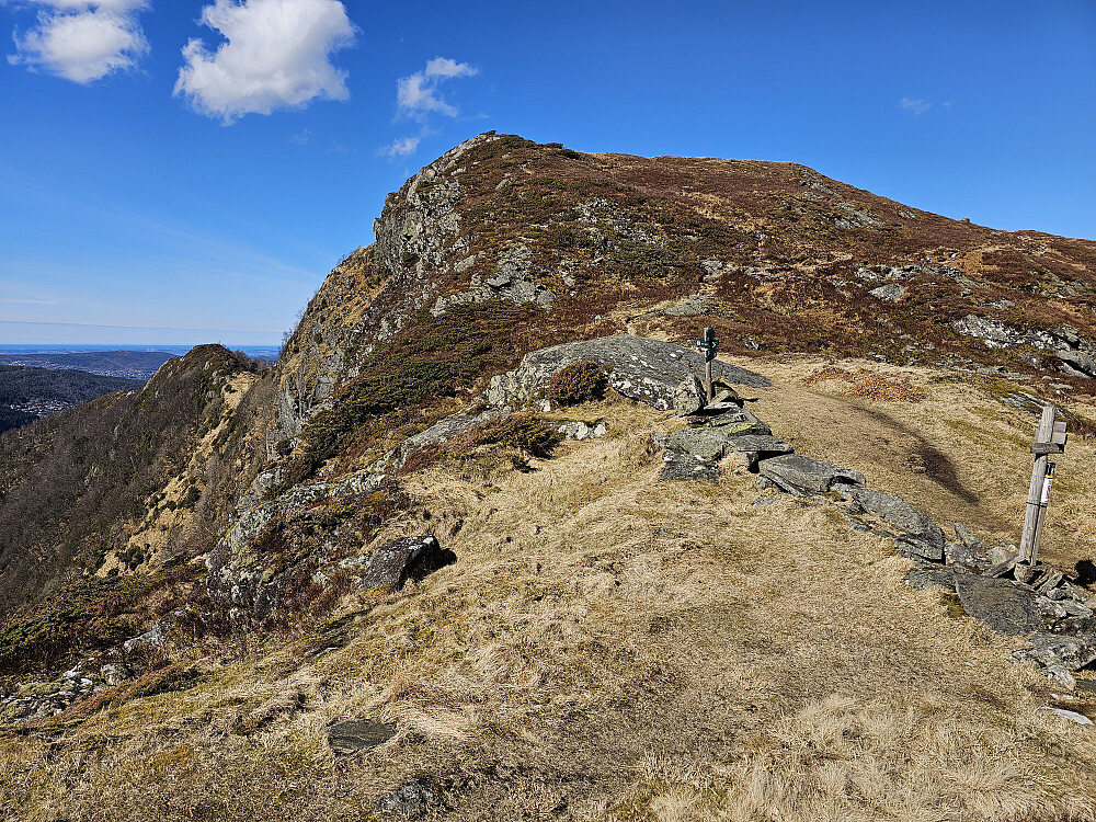 Øst for Stangelifjellet 418 og Stangelifjellet 372 fra Vinddalsskaret