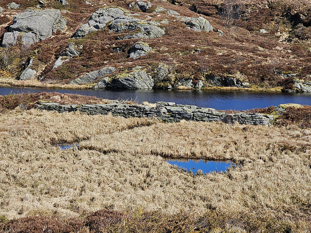demningen til Ulskebjørnstemma