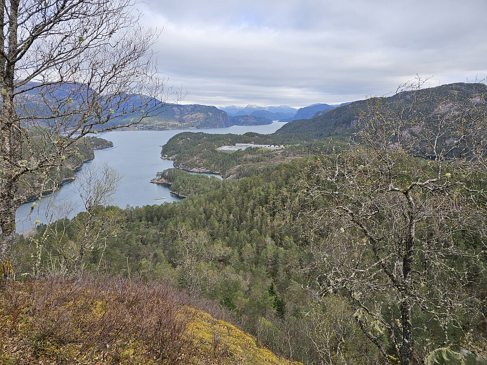 utsikt fra Kletten innover Osterfjorden
