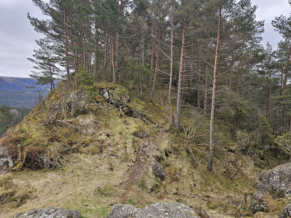 mot toppen på Rothaugen