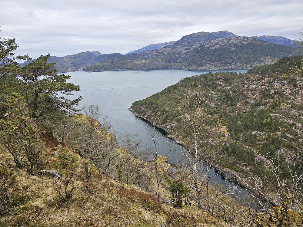 Ytre Drangevågen sett fra Rothaugen
