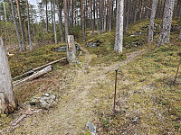 stideling i sydøst, jeg tok sti mot sydvest