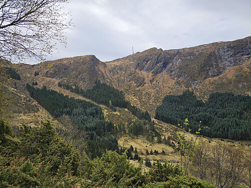 Jordalsskaret fra Stallane