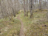 oppe på flaten før litt ned til vannet