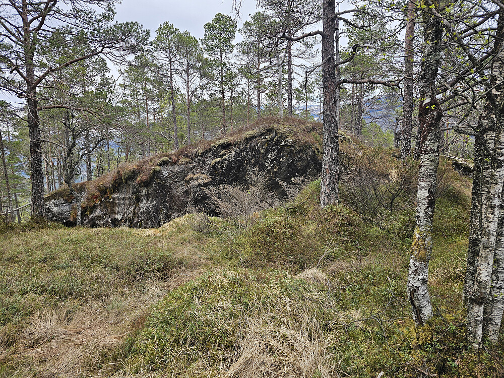 Grånuten 384