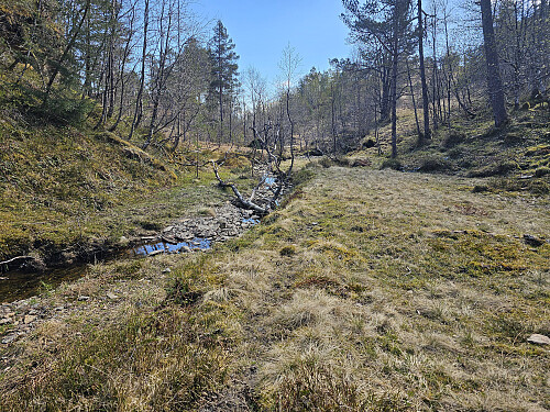 i Svartaholshjellen
