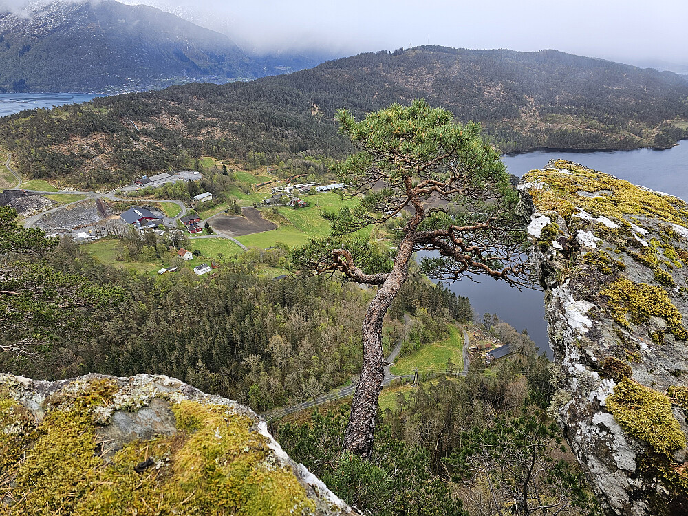 Eide sett fra telemasten på Lindeskor-Augastadåsen