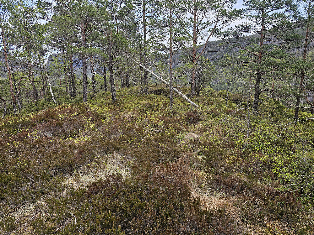 toppen på Brunane 189