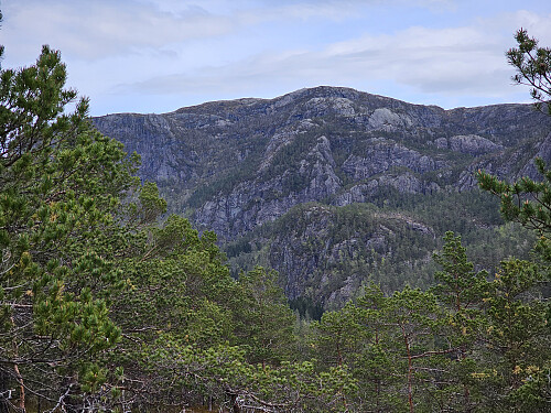 Norafjellet sett fra Brunane