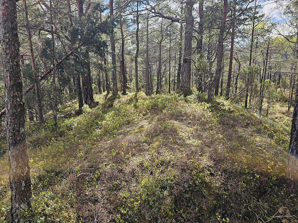 Sjuråsen 178