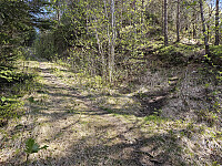 tok av fra skogsveien på sti på ryggen opp