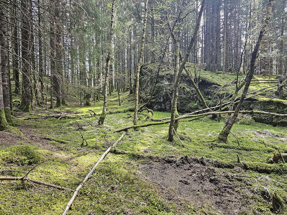 oppe på flaten med bergknausen som er kollens høyeste punkt.