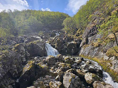 Pyttelva
