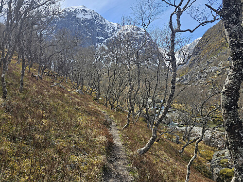 oppe til Fynderdalen