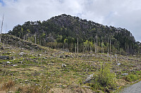 Skåtafjellet