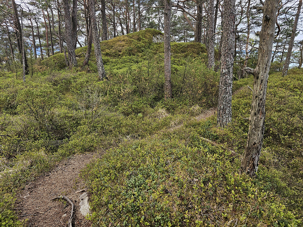 nesten oppe på Skåtafjellet