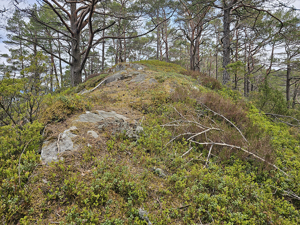 toppen på Skåtafjellet