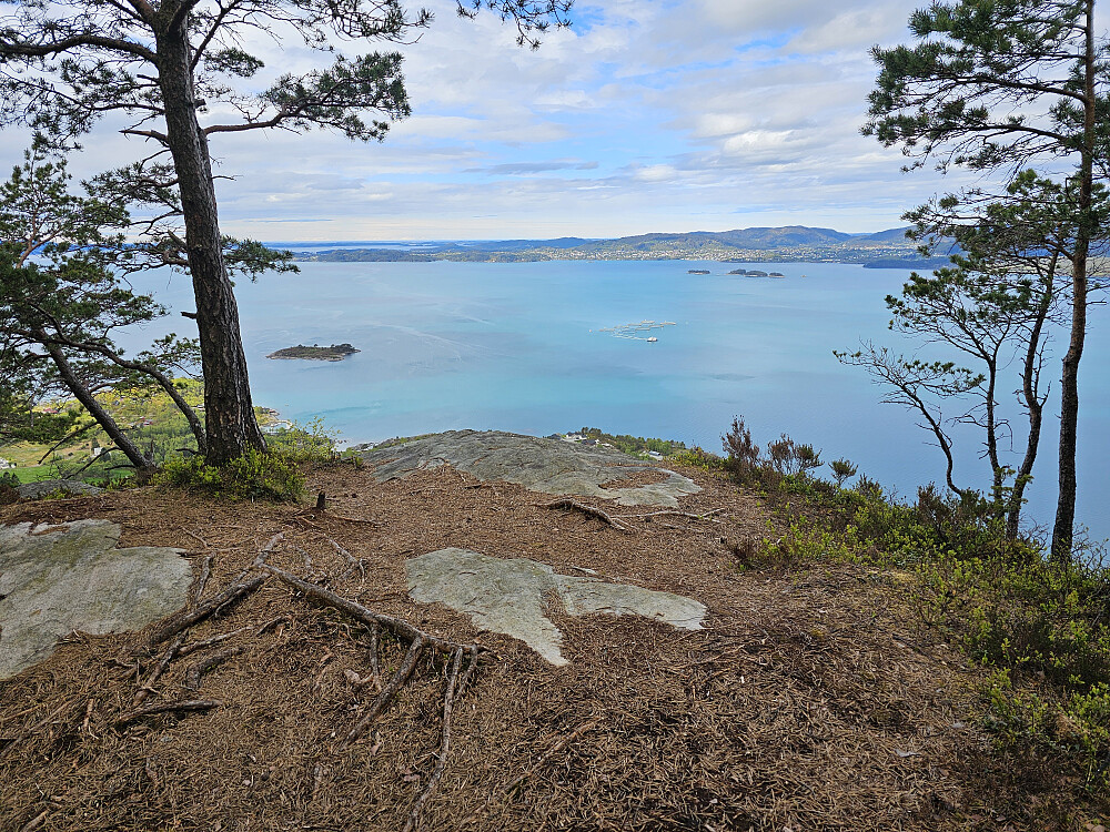 utsiktspunktet på Skåtafjellet