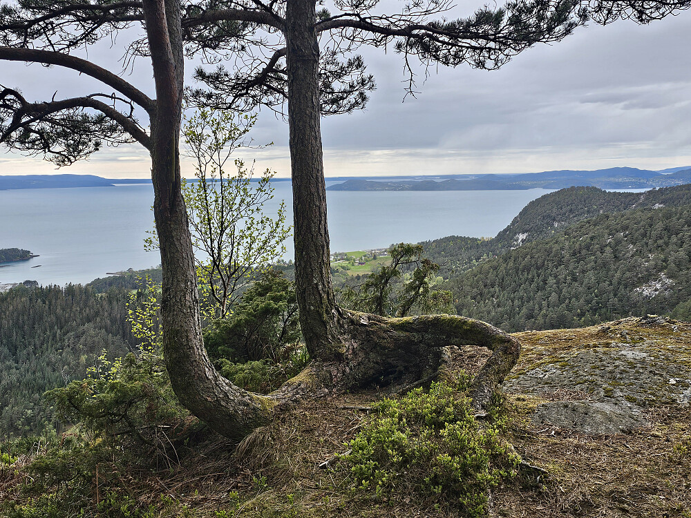 utsiktspunktet Olainuten